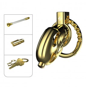 LOCKINK - Sevanda Outlaw Urethral Sounding Chastity Cage (Gold)